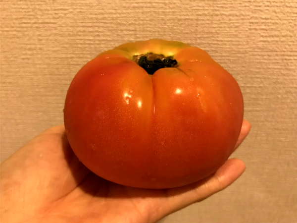 ビオ・マルシェの有機野菜のトマトの大きさ