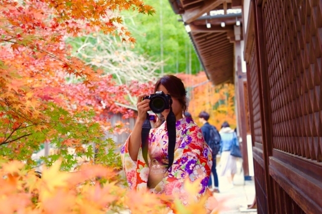紅葉する木々にカメラを向ける着物姿の女性
