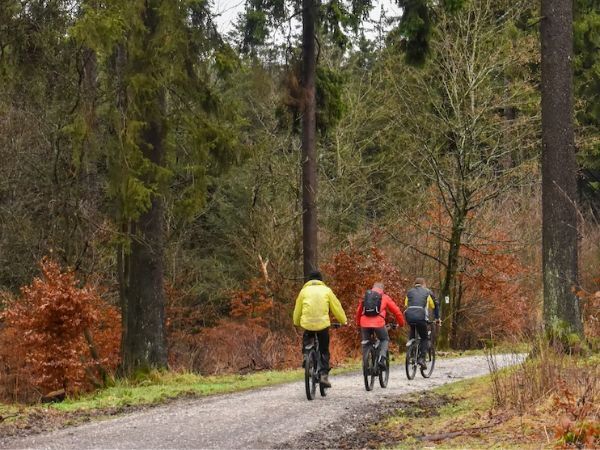 秋の山道をゆくサイクリング客