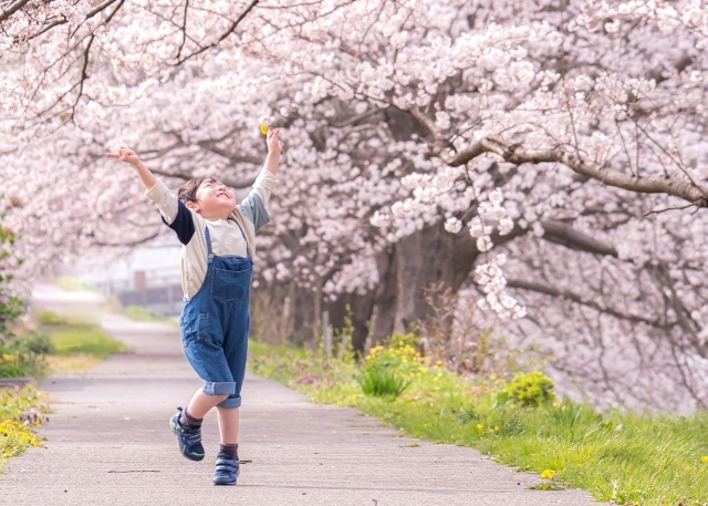 桜の下で手を広げて笑顔を見せる男の子