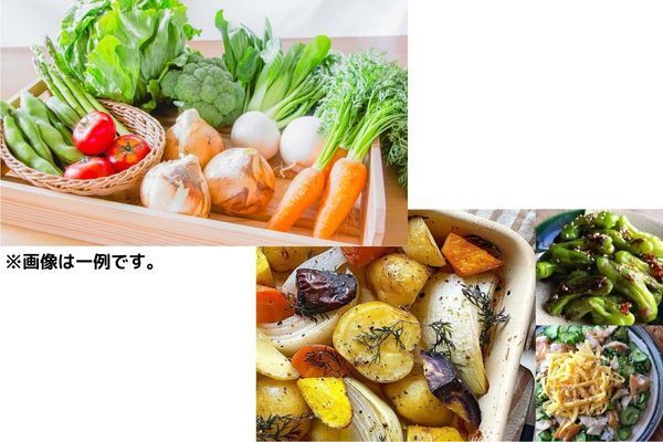 野菜宅配「食べチョクコンシェルジュ」［定期購入］