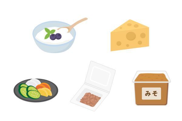 人の腸に住みついている善玉菌を直接摂取する方法（プロバイオティクス）