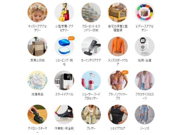 Temuで売られている商品のカテゴリ一例