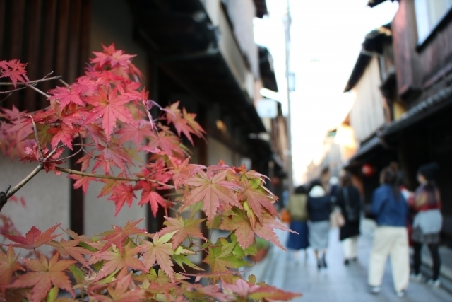 赤いもみじと京都の街を歩く人々