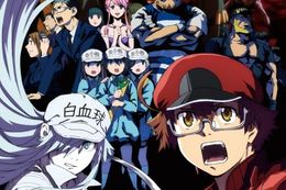 はたらく細胞BLACKのアニメ配信はどこで見れる？無料の動画配信サービスを調査