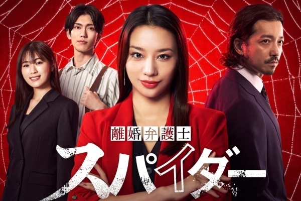  離婚弁護士 スパイダー