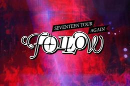 SEVENTEEN TOUR 'FOLLOW' AGAINの映画フル配信はどこで見れる？無料の動画配信サービスを調査