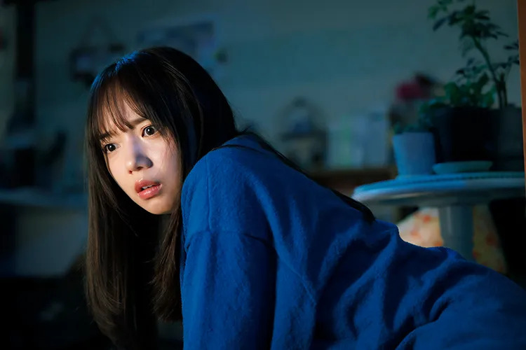 あやしいパートナーのあらすじ