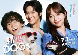初恋DOGsのドラマ見逃し配信はどこで見れる？無料の動画配信サービスを調査