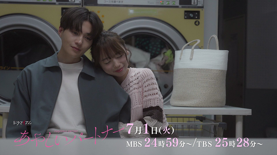 あやしいパートナーのあらすじ