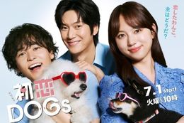 初恋DOGsのドラマ見逃し配信はどこで見れる？無料の動画配信サービスを調査