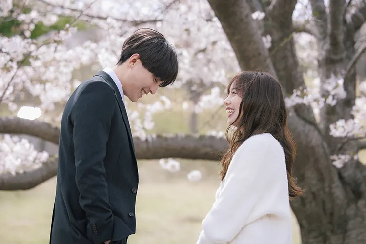 あやしいパートナーのあらすじ