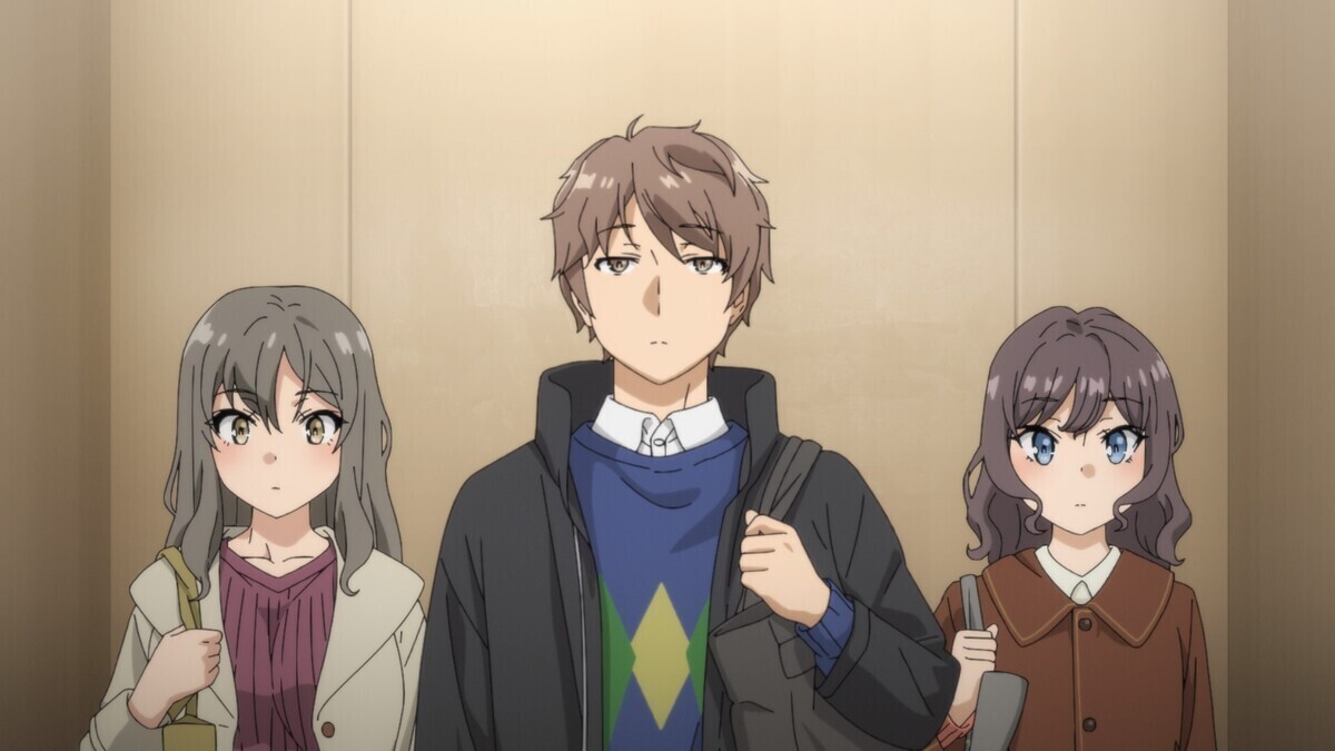 青春ブタ野郎はサンタクロースの夢を見ないのバナー