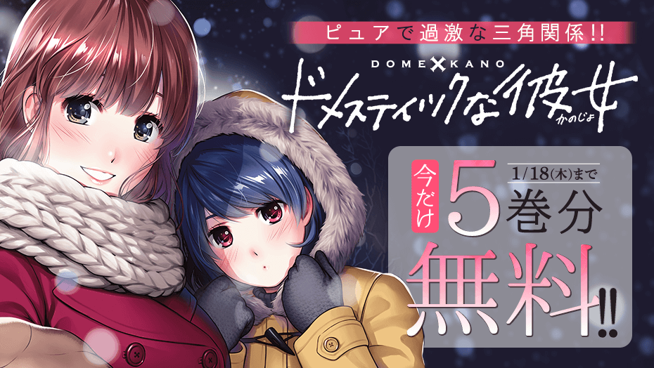 ドメスティックな彼女 全巻セット 1～23巻 全巻セット ｜本、雑誌
