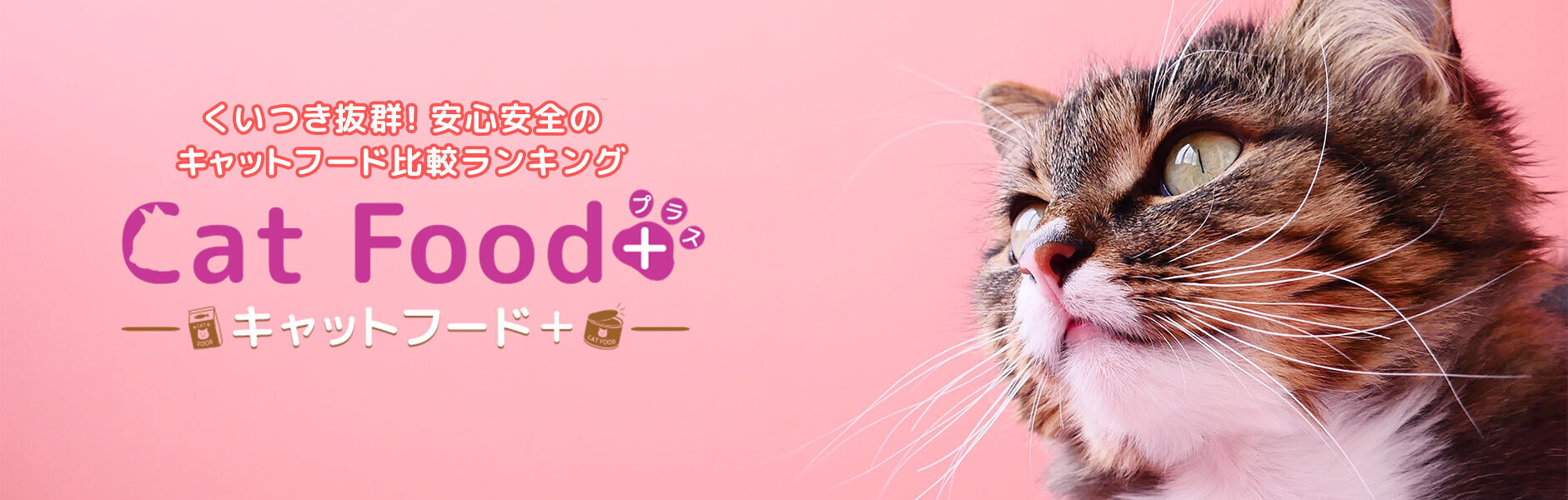 Catfood キャットフードプラス